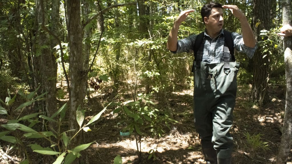 NC State researchers are tracking soil elevation in a coastal forest.