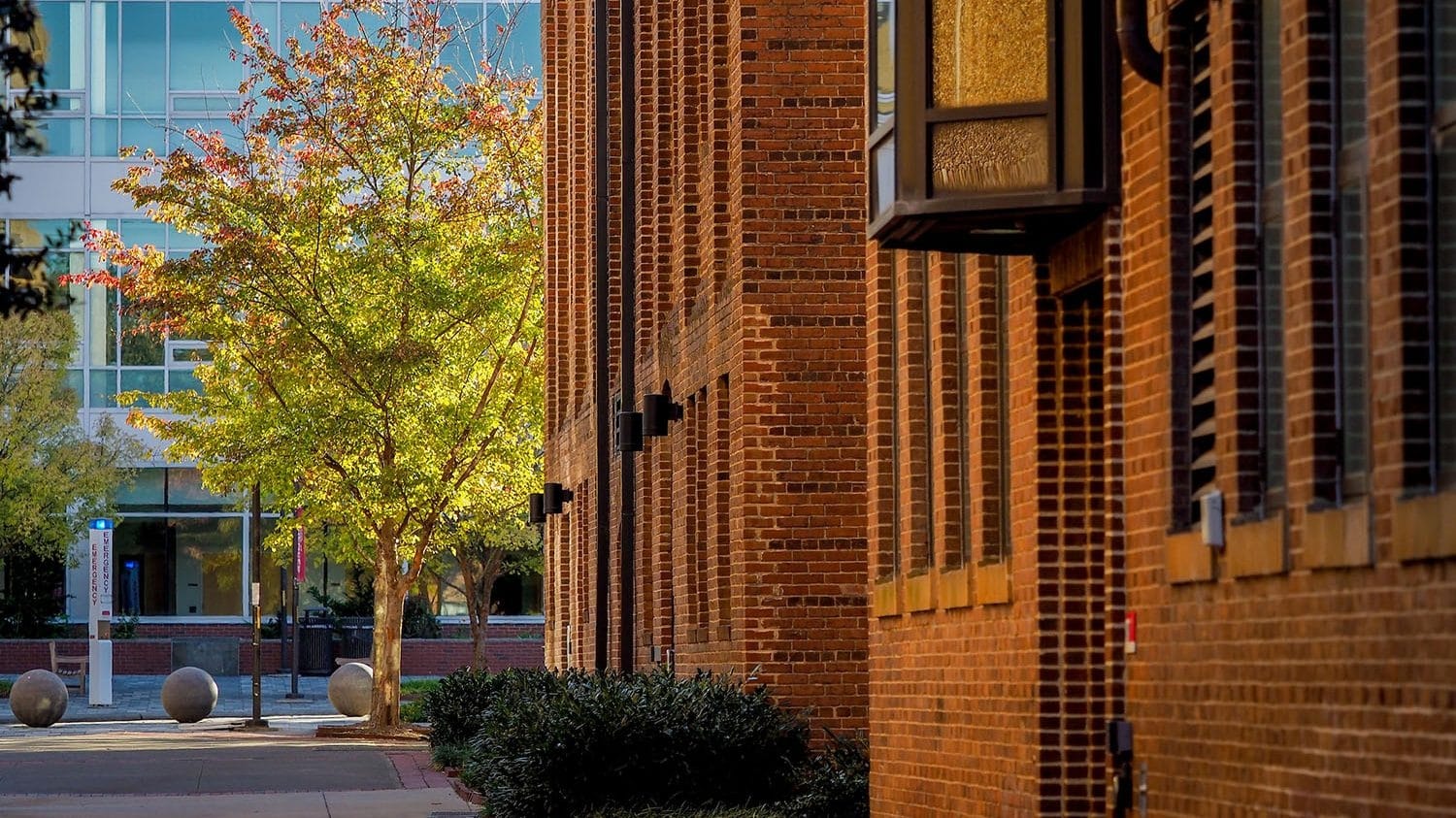 Exterior of Park Shops in the fall