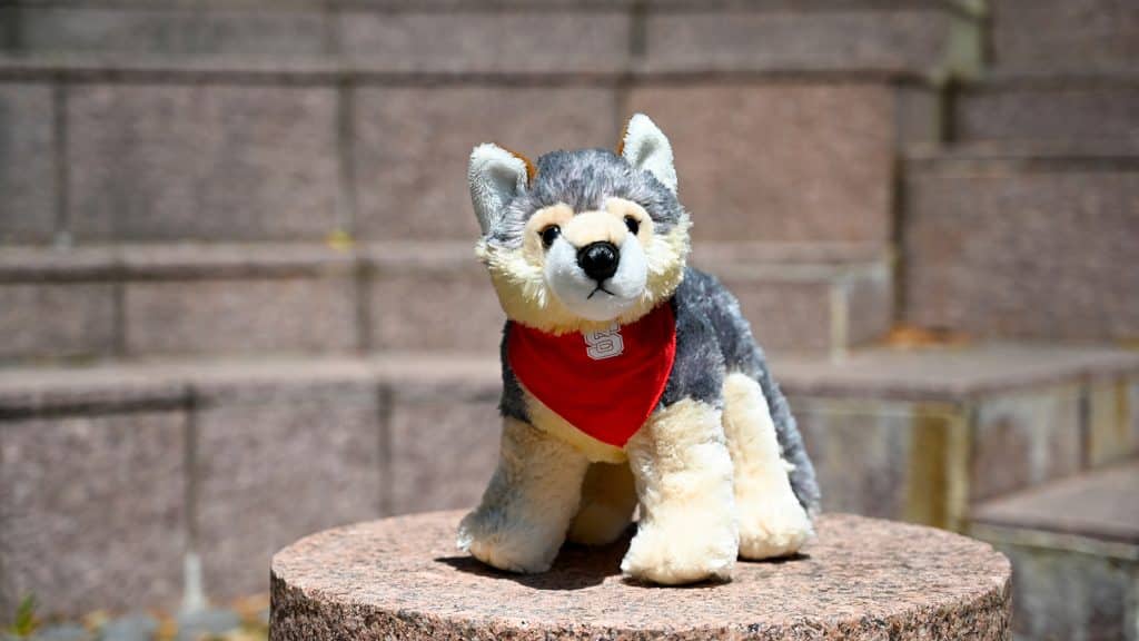 plush wolf with NC State bandana around its neck