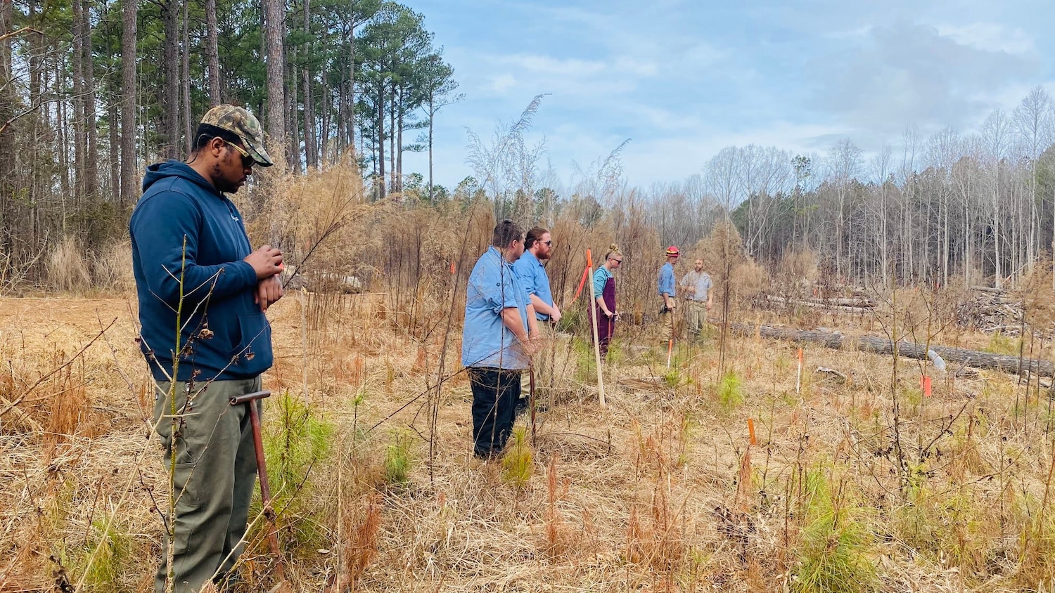Students lined up to plant Loblolly Pine seedling at Schenck Forest.