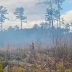 Prescribed Fire at Schecnk Forest.