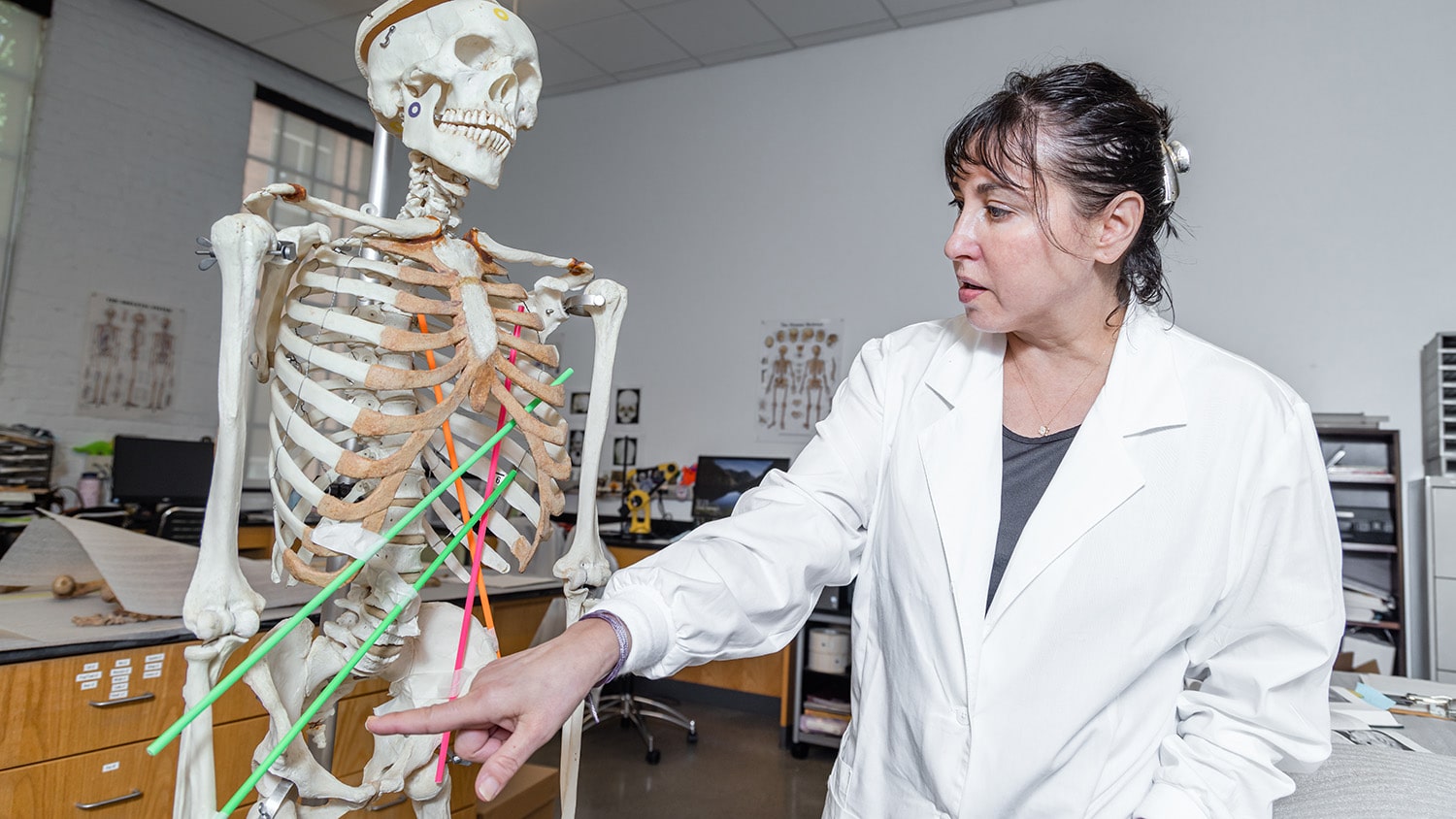 Ann Ross, wearing a white lab coat, points to long, neon-colored straws that go through a skeleton.