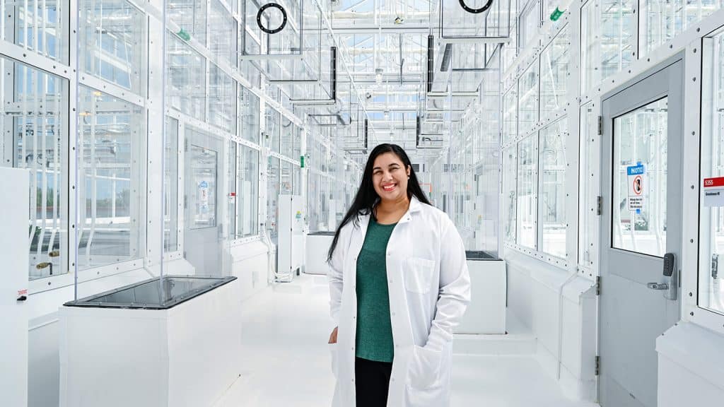 A researcher poses in one of the rooftop greenhouses in the Plant Sciences Building.