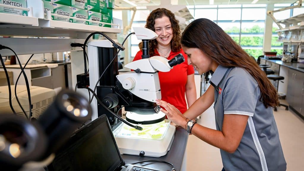 Two researchers work in a lab located in the Plant Sciences Building.