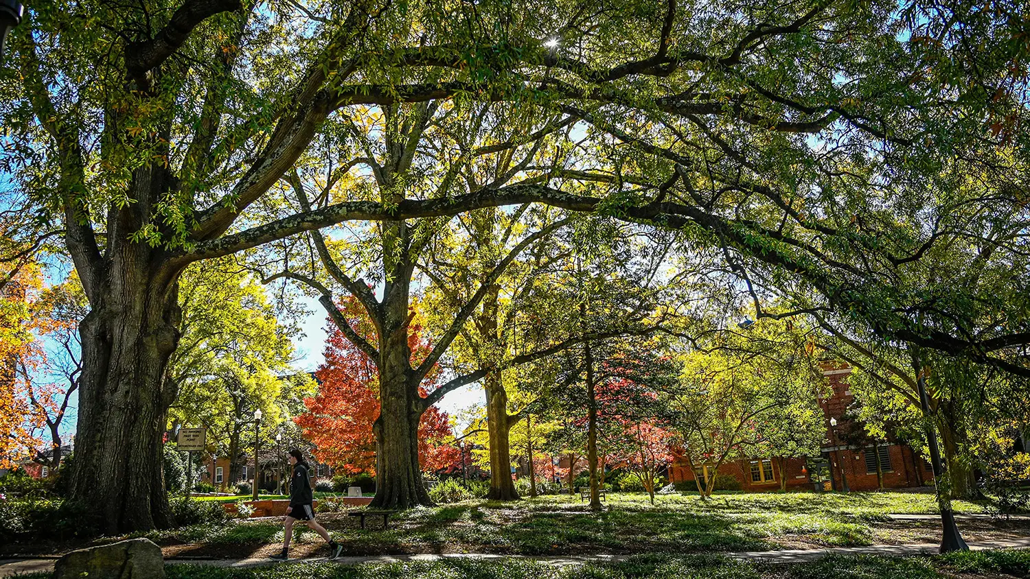 A student passes through a lush corner of campus on a fall afternoon.