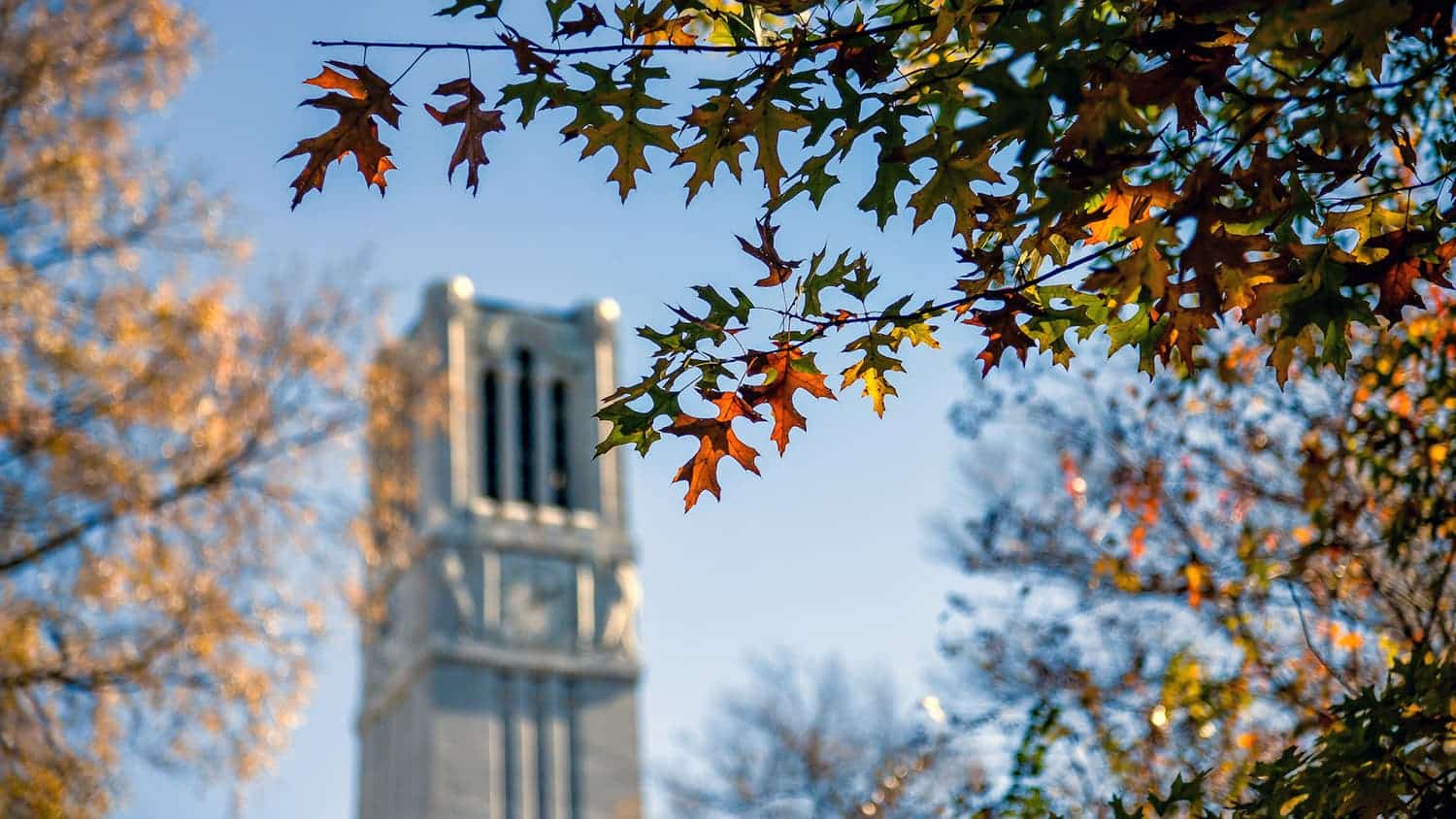 The Belltower with a branch of fall leaves in front.