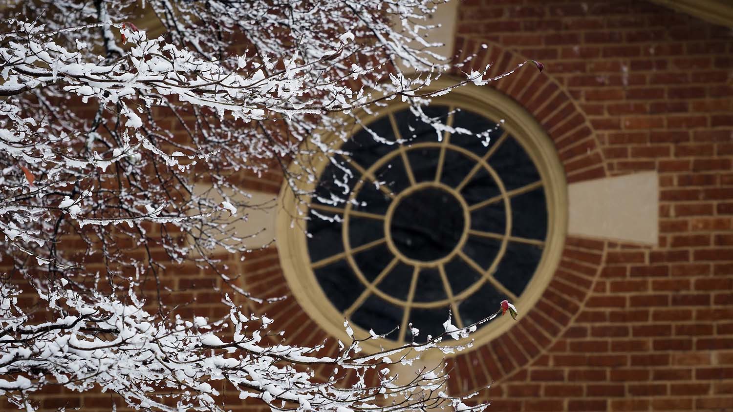 An icy branch extends over a window at Leazar Hall.