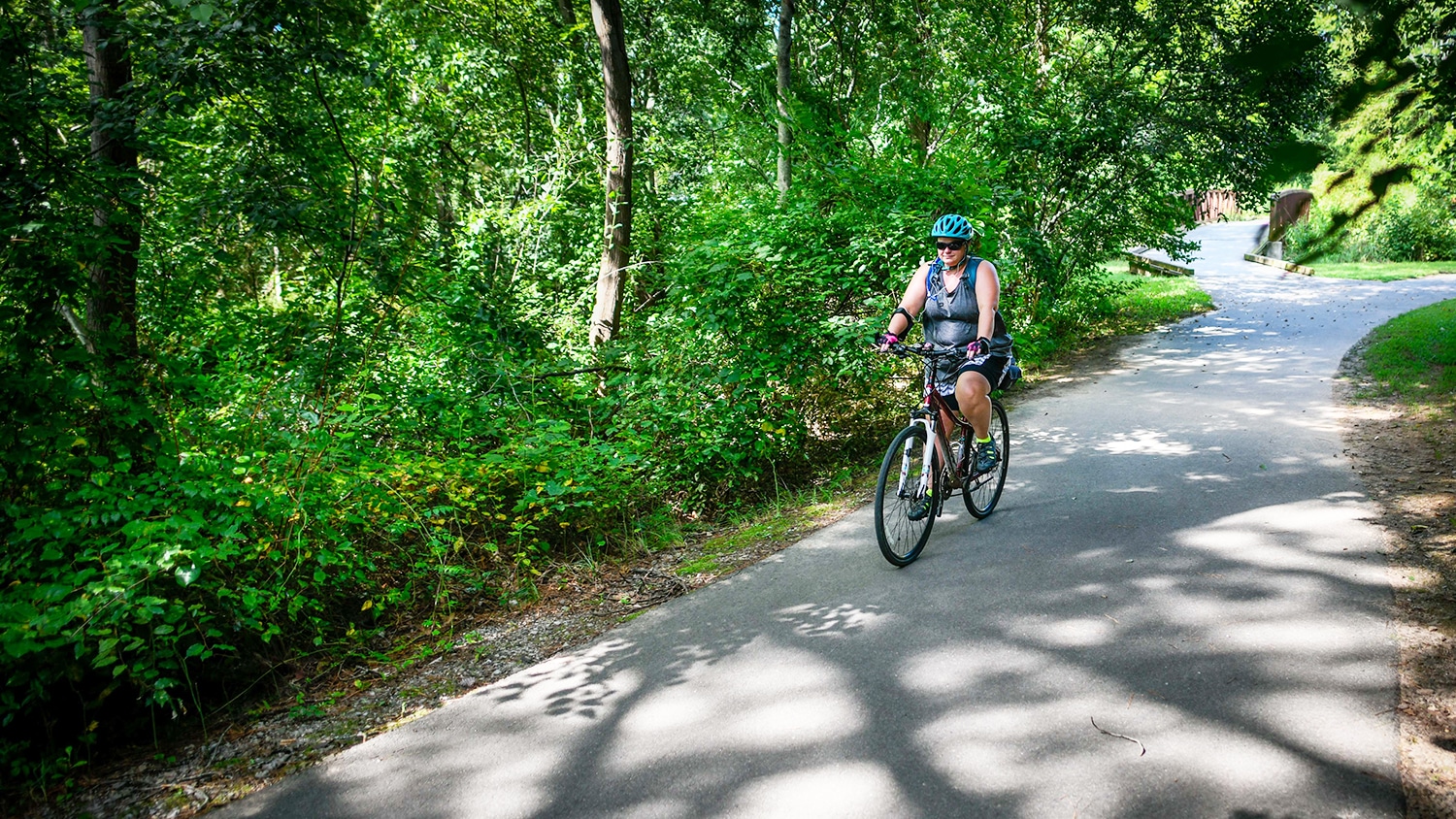 person biking on a wooded path