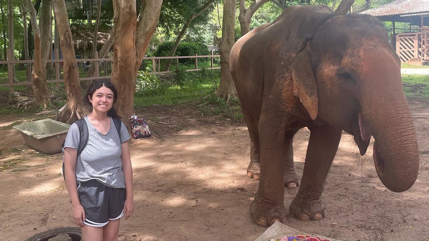 Brianna Diaz, an undergraduate researcher of animal health and an OUR Ambassador, stands beside a friendly elephant on a trip to research abroad.