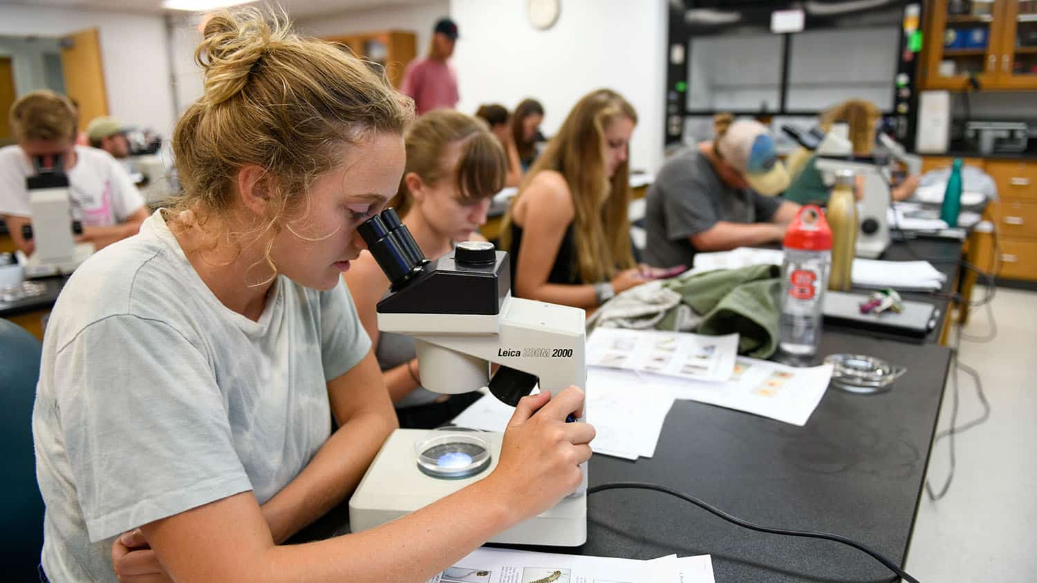 Undergraduate students use microscopes to analyze ocean water.