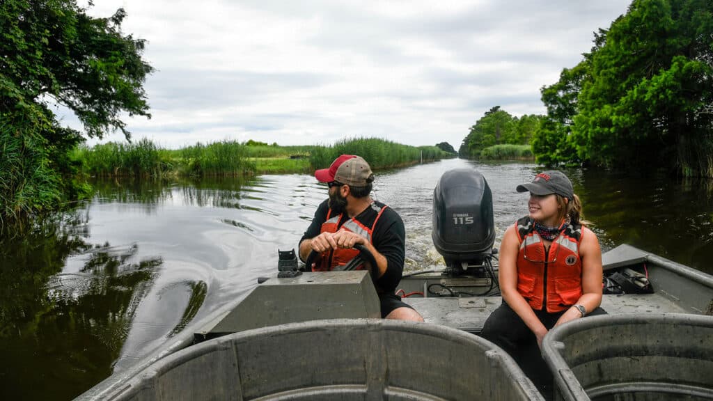 A CALS student works with carp (fish) on Lake Mattamuskeet near the coast of North Carolina.