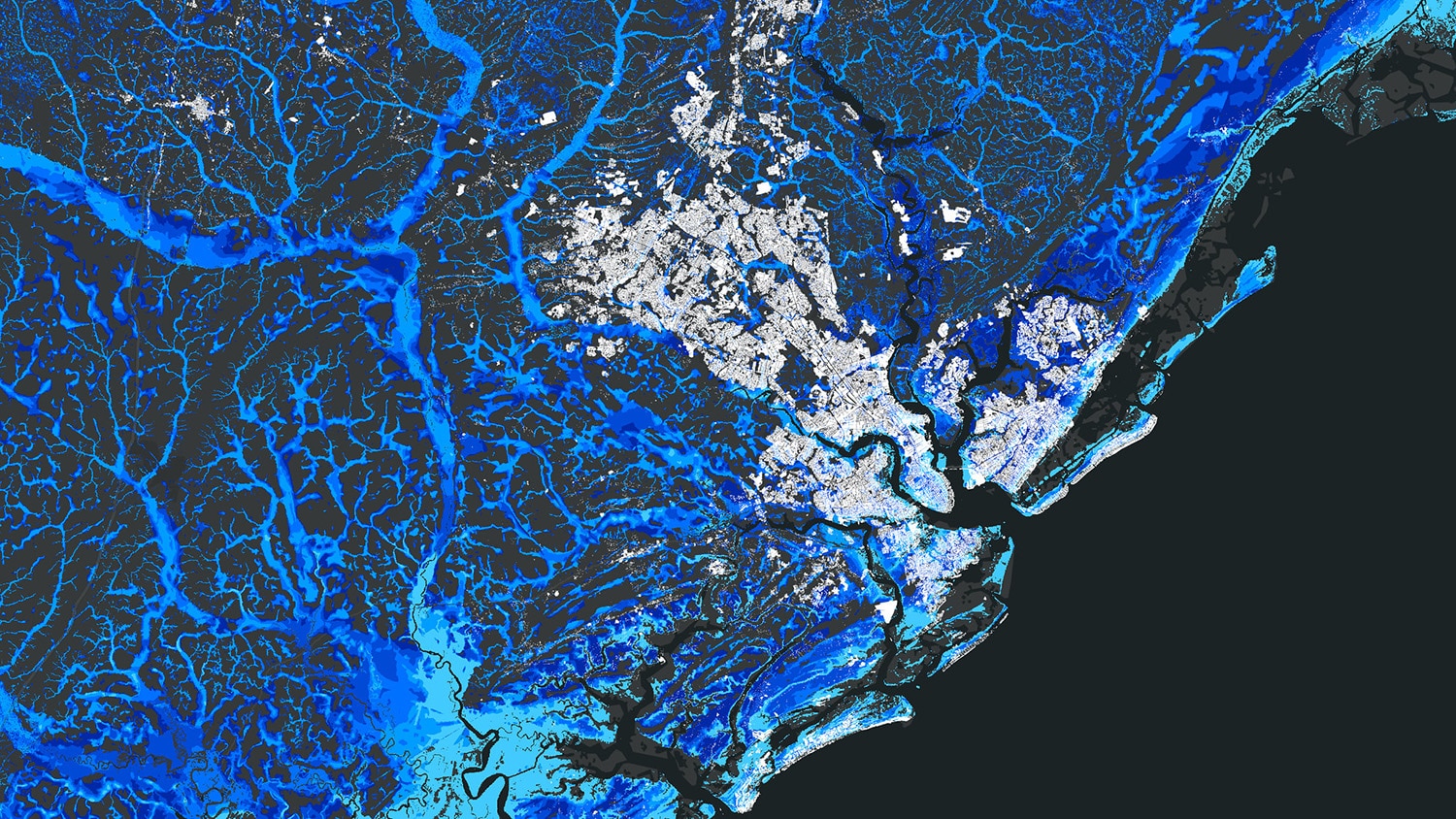 An overhead view of Charleston, South Carolina and the surrounding area. This figure shows projected development and flood risk by 2050. Portions of the map are white, representing expected development, and vein-like blue bands represent expected flood risk.