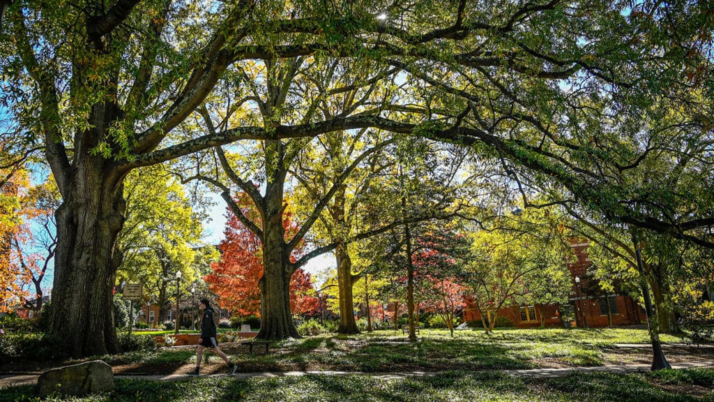 A student strolls along a pathway on NC State's Court of North Carolina on main campus during a fall day.