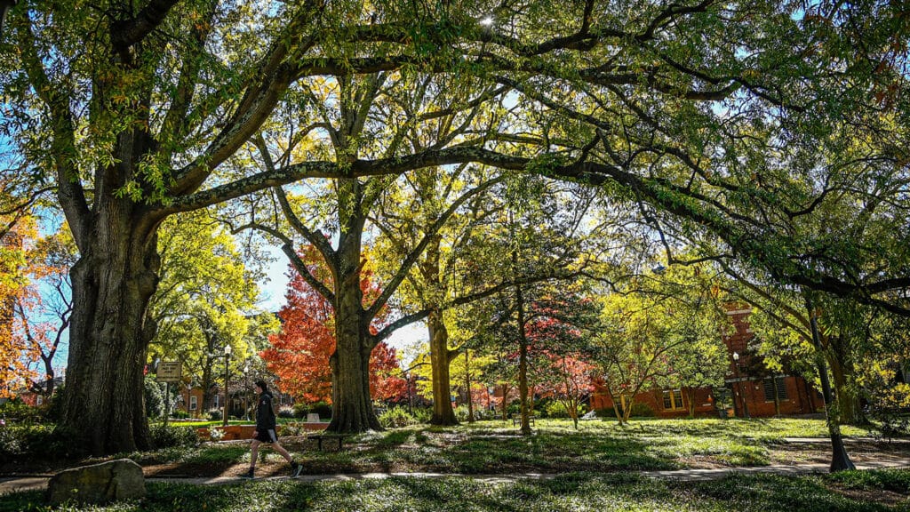 A student strolls along a pathway on NC State's Court of North Carolina on main campus during a fall day.