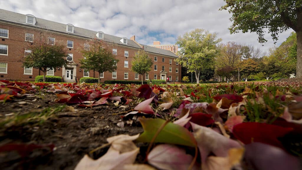 Fall leaves litter the open space between Turlington and Alexander residence halls on NC State's campus.