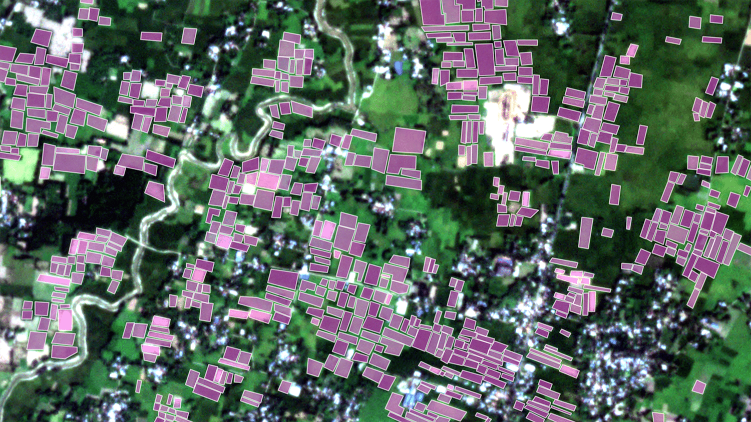 Dozens of purple blocks represent small farms on a satellite image.