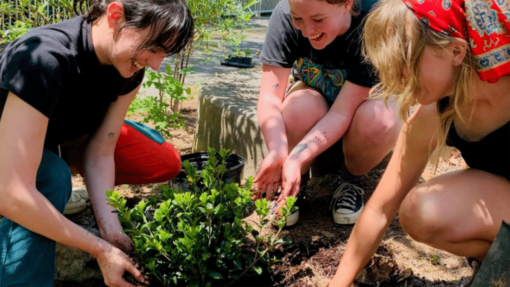 Three smiling students kneel close together while working at the Learning Gardens on NC State's main campus near Rocky Branch Trail.