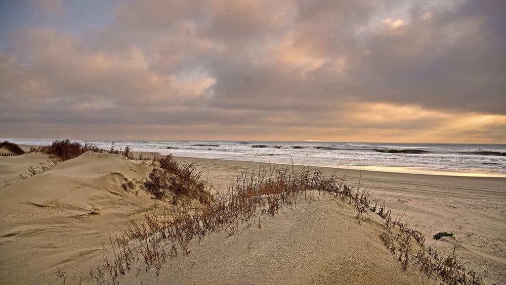 Sea oats rustle in the Outer Banks breeze on a cool spring morning.