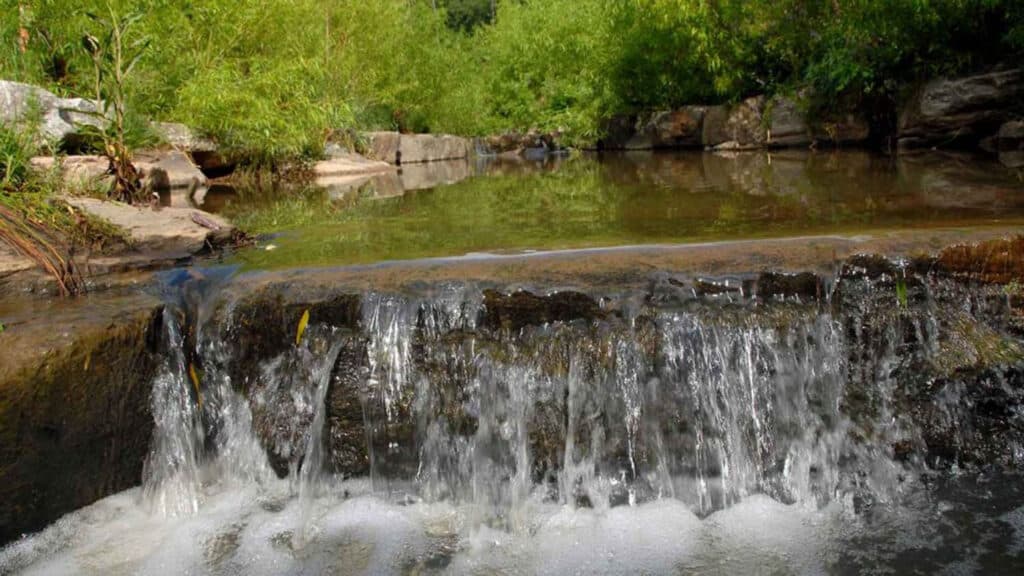 Water tumbles down a low dropoff at Rocky Branch Creek on NC State's campus.