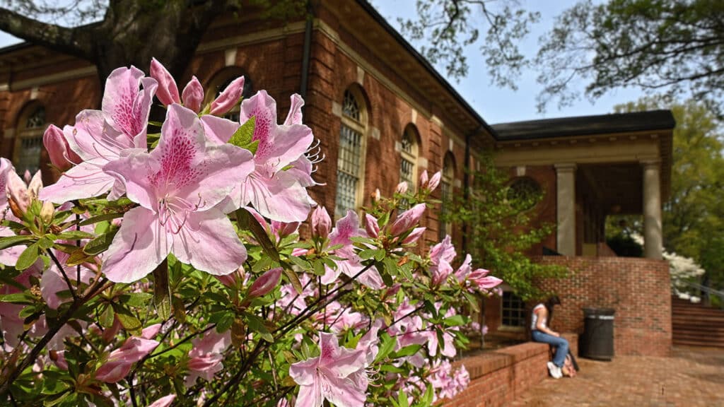 Spring flowers bloom in front of Leazar Hall on a warm, spring day on main campus., as a student rests on a low brick wall in the background.