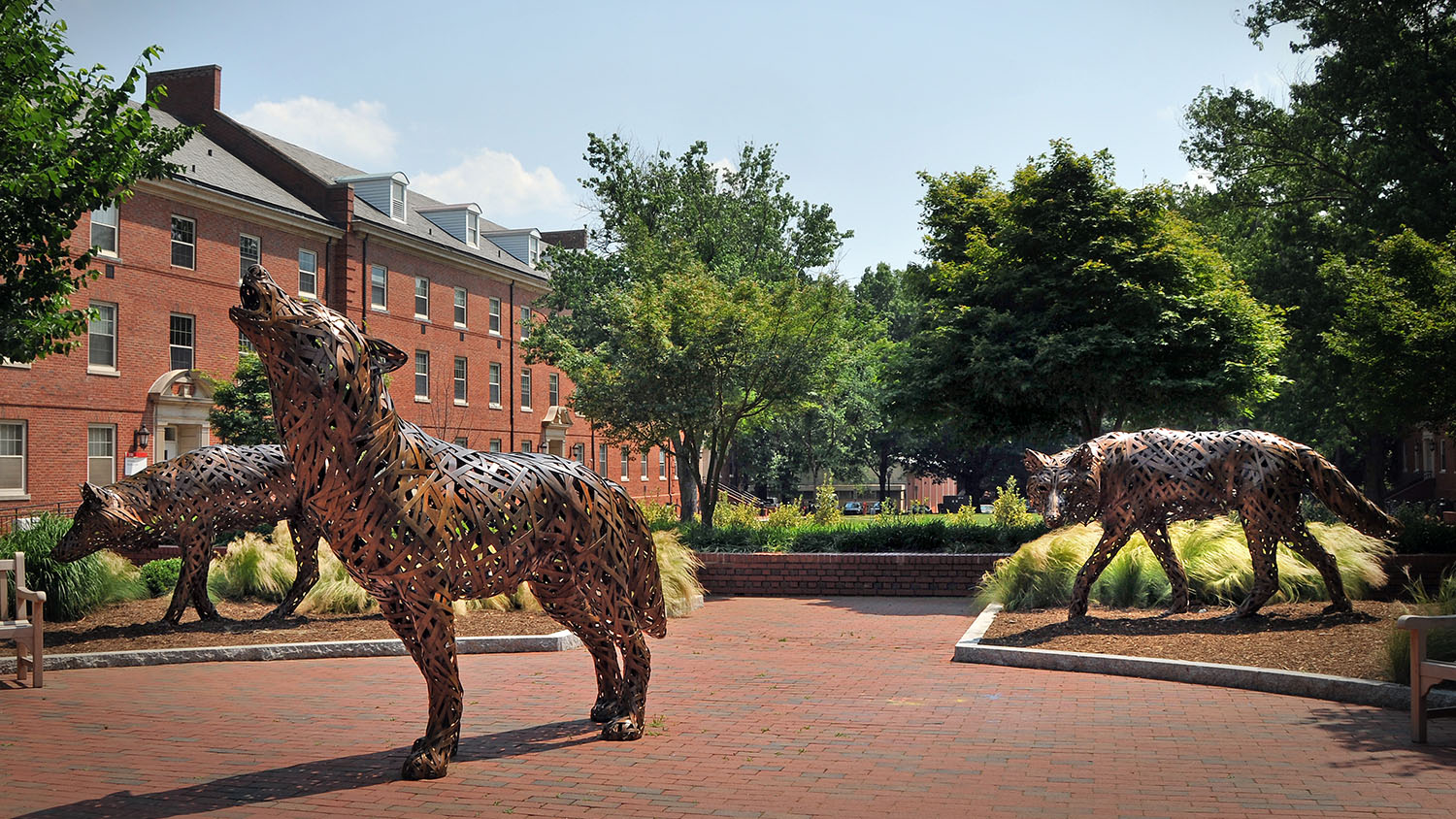 Three wolf statues adorn Wolf Plaza, a favorite spot for outdoor relaxation among NC State students.