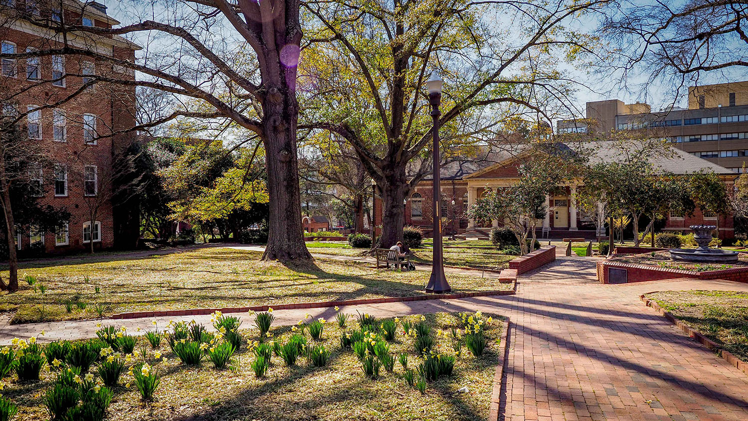 A sunny day casts long shadows across the Mary E. Yarbrough Courtyard on main campus.