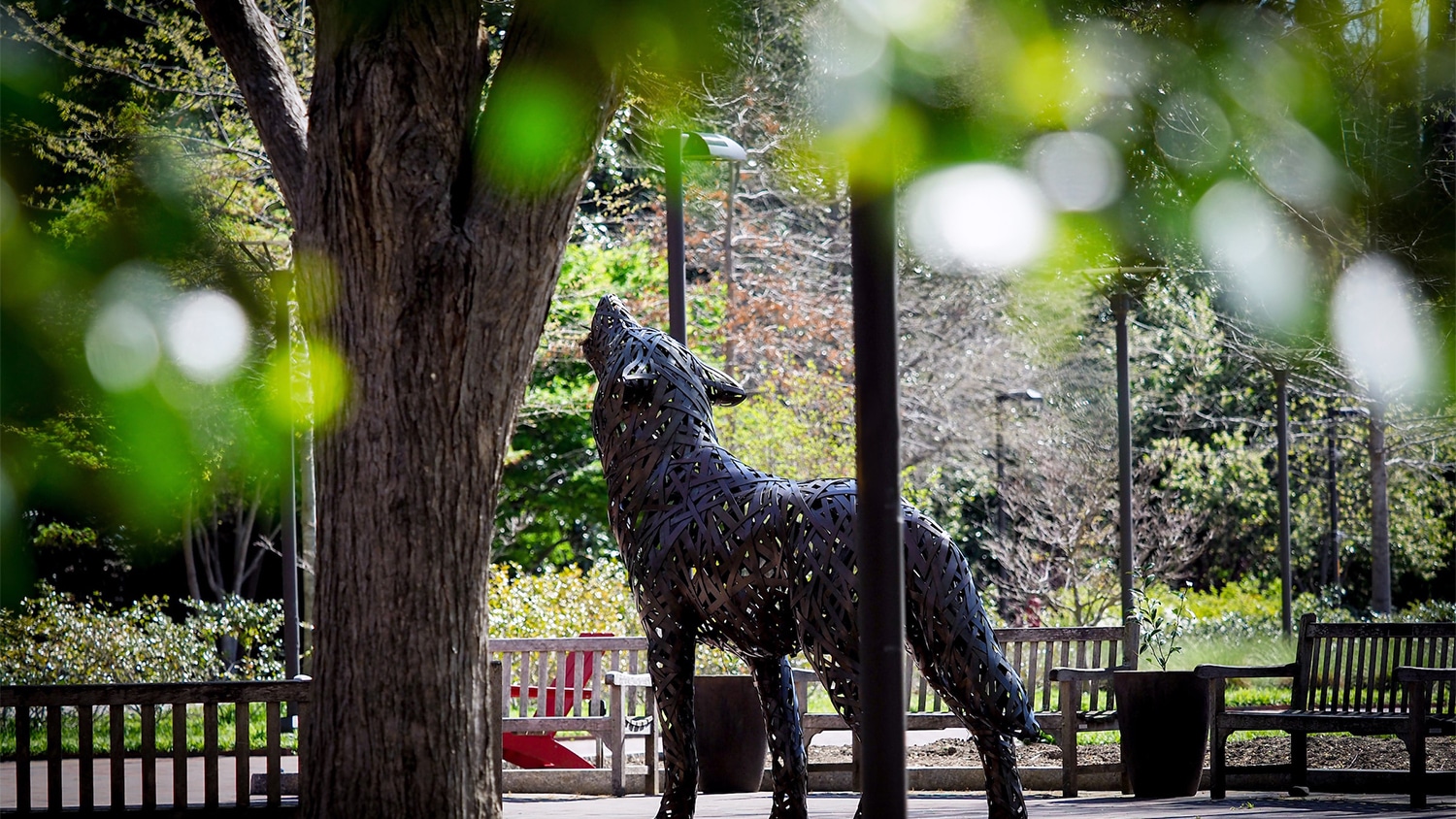 A howling wolf statue on Wolf Plaza