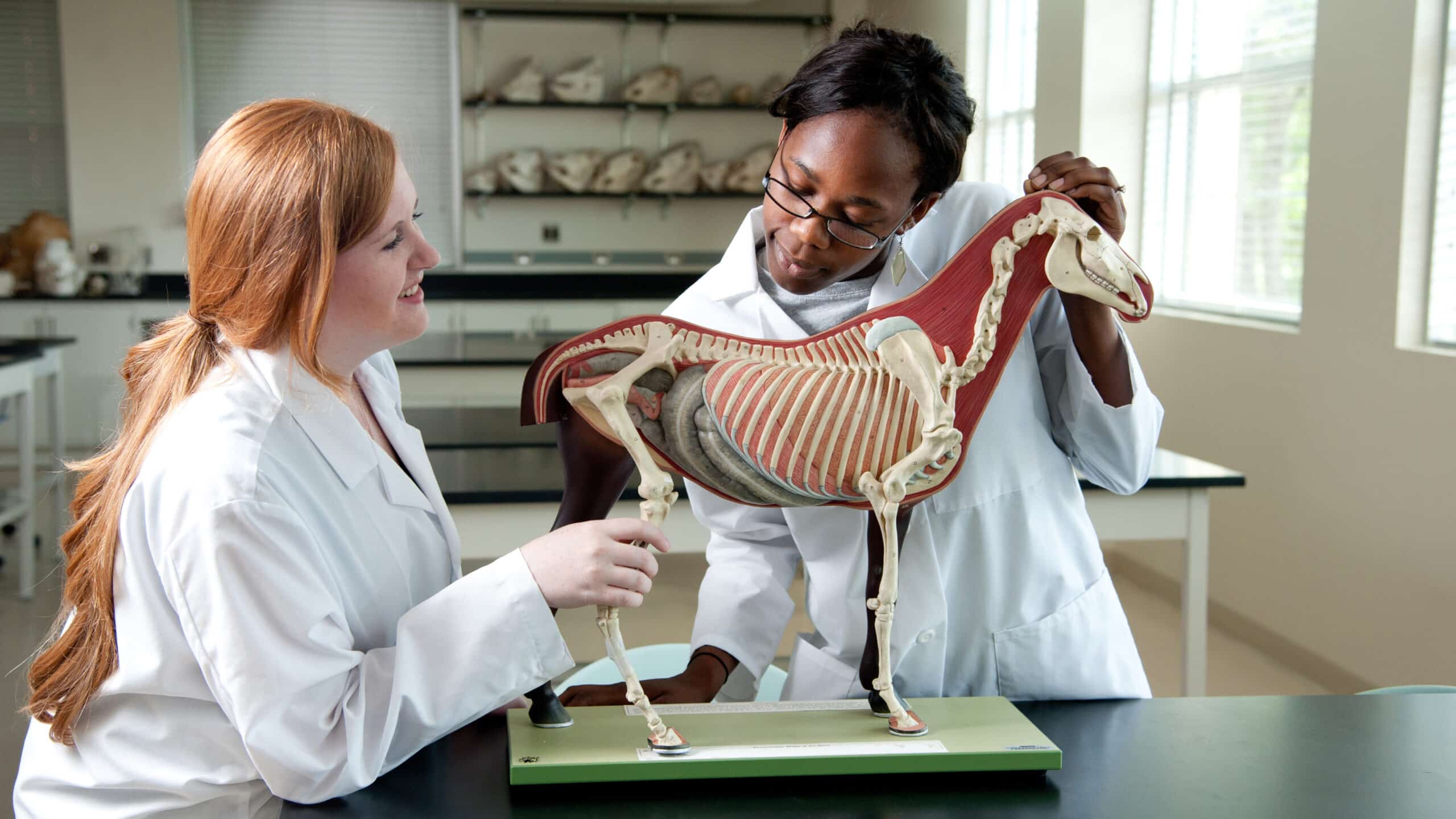 students examine skeleton
