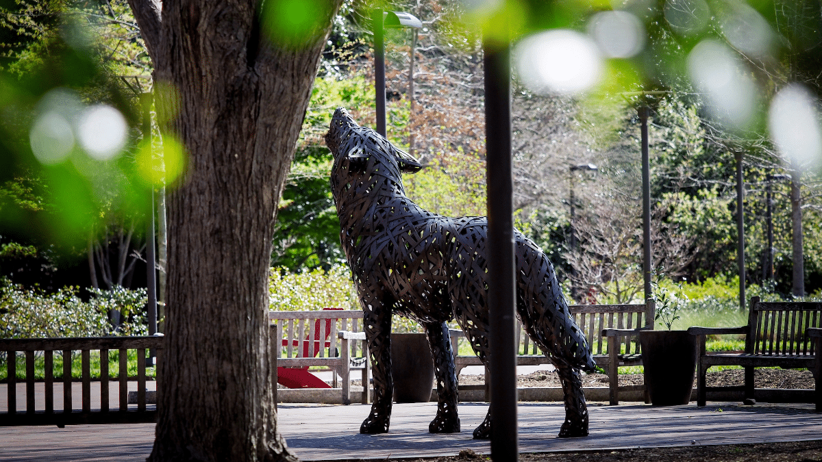 Copper wolf at Wolf Plaza is seen through the trees near Talley Student Union.