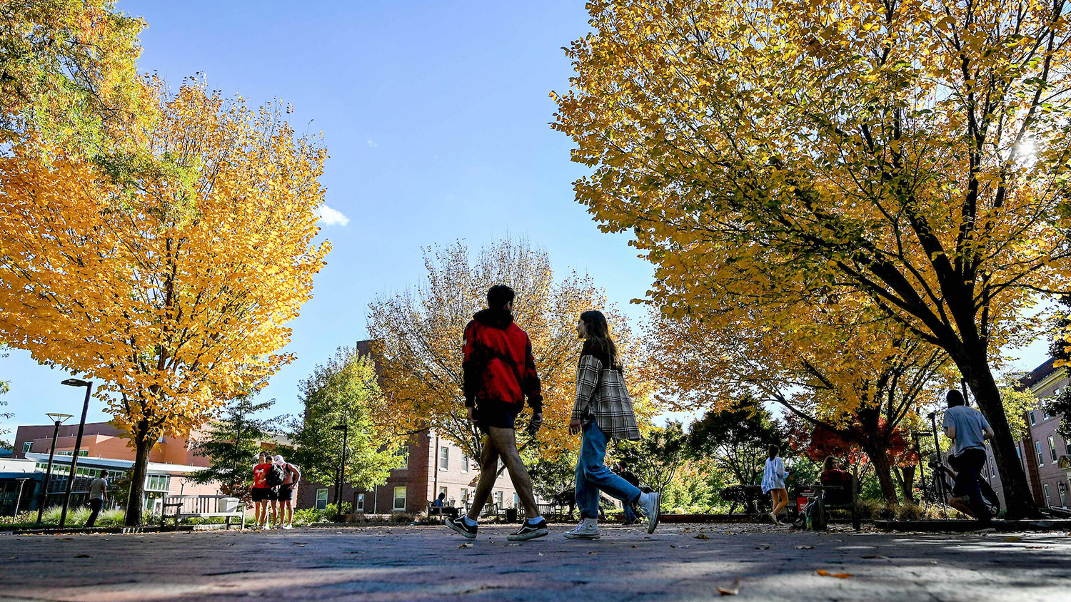 Students strolling along Wolf Plaza