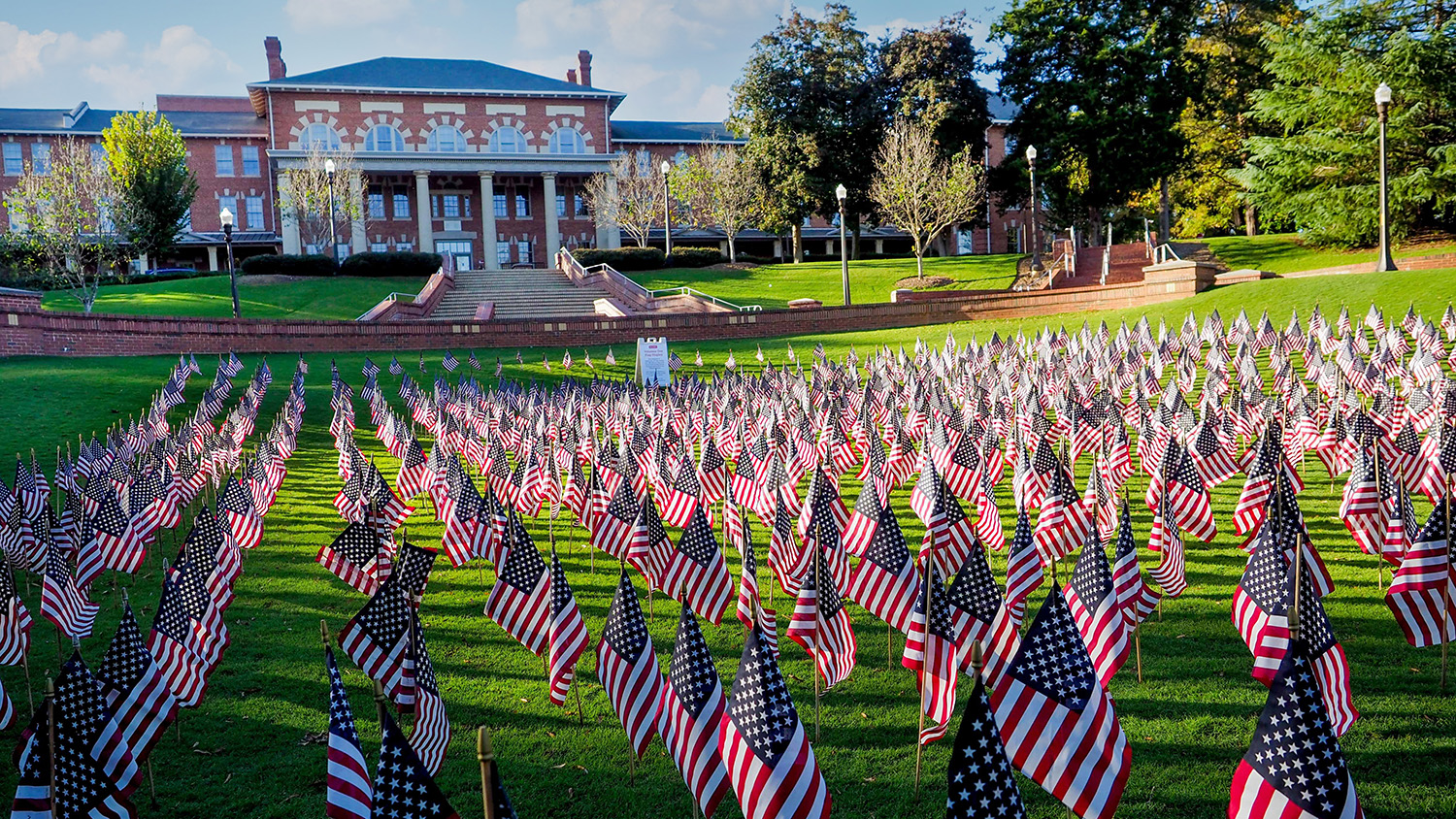 Flags planted in the Court of North Carolina to honor Veterans Day.