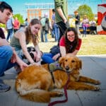 Three students pet a therapy dog at the Corner on Centennial campus.
