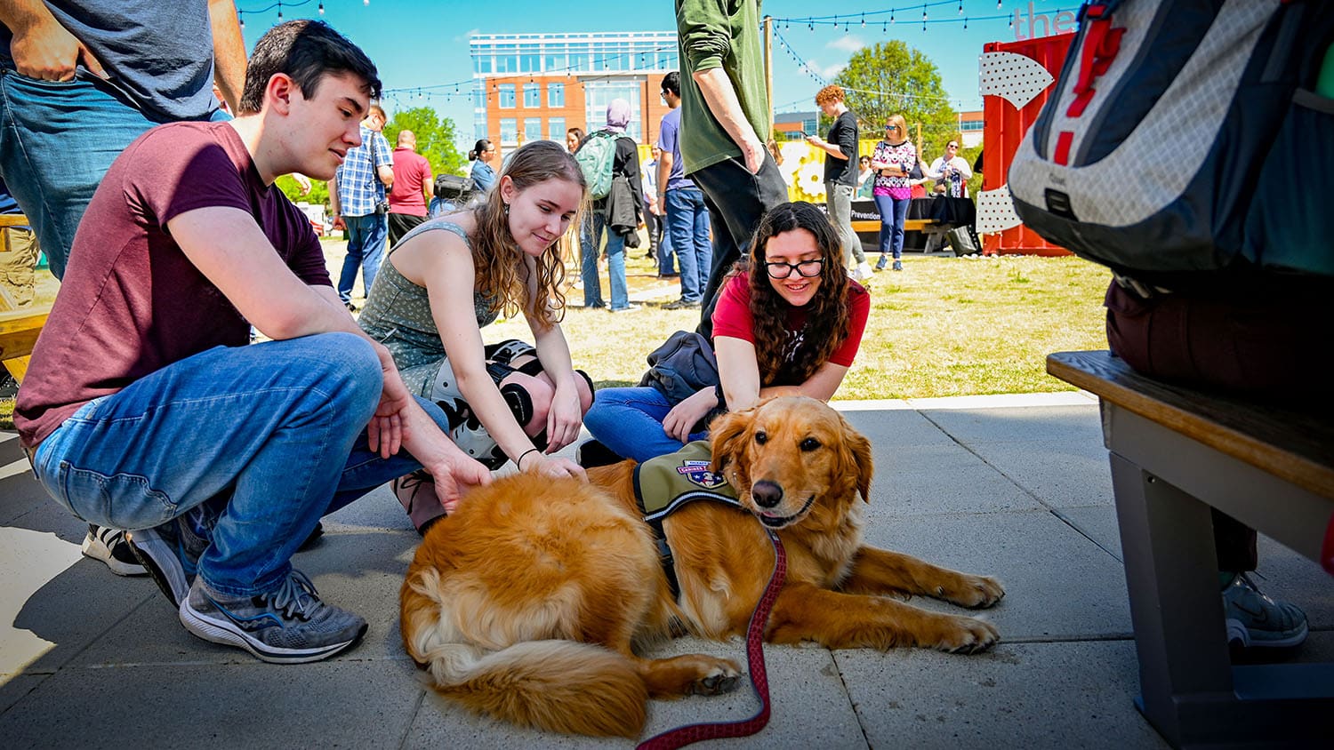 Students, faculty and staff enjoy a spring day by participating in a Pause for Tiny Hooves event at the Corner on Centennial campus. Therapy miniature horses from Stampede of Love, as well as therapy dogs, provide a wellness break from the end of semester rush.