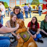 Students, faculty and staff enjoy a spring day by participating in a Pause for Tiny Hooves event at the Corner on Centennial campus. Therapy miniature horses from Stampede of Love, as well as therapy dogs, provide a wellness break from the end of semester rush.