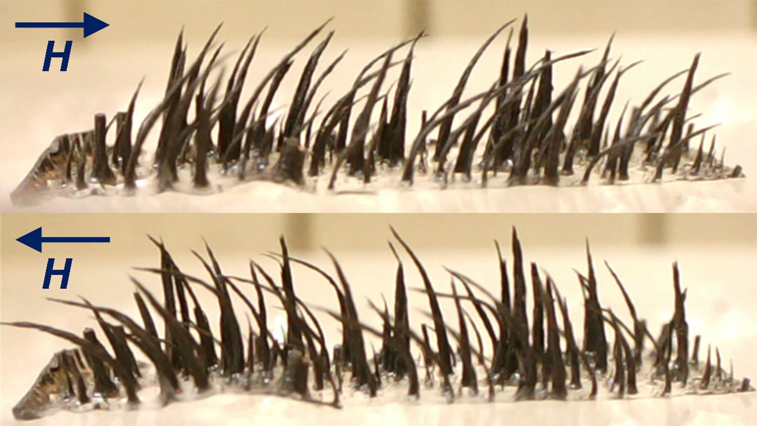 photo includes two images. The first shows a bunch of black wires sticking up from a white substrate and leaning right. The second shows the wires leaning left.