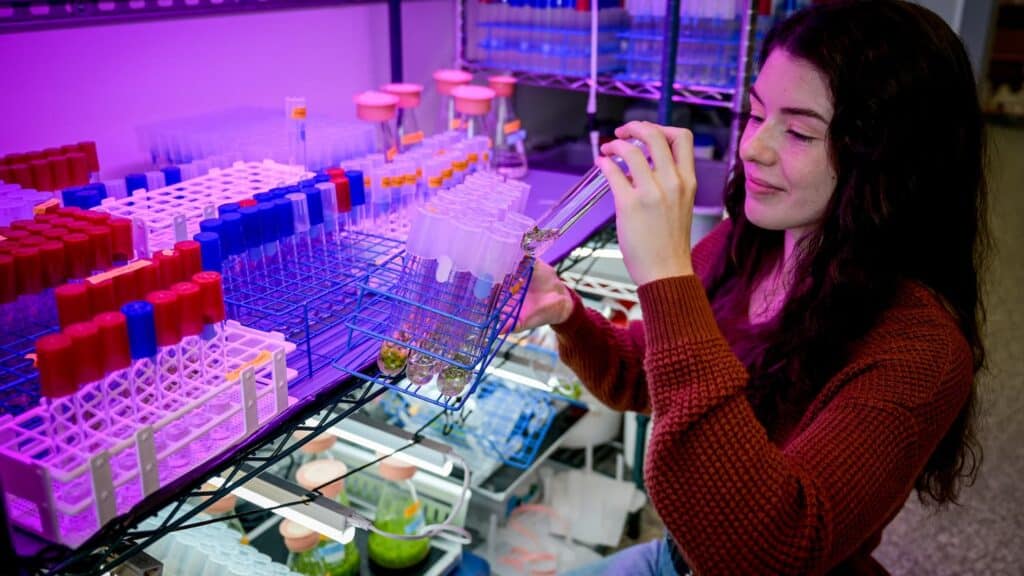 Faculty and students in Biochemistry conduct research side by side in the lab, working to make sense of the structures, mechanisms and chemical processes shared by all living things.