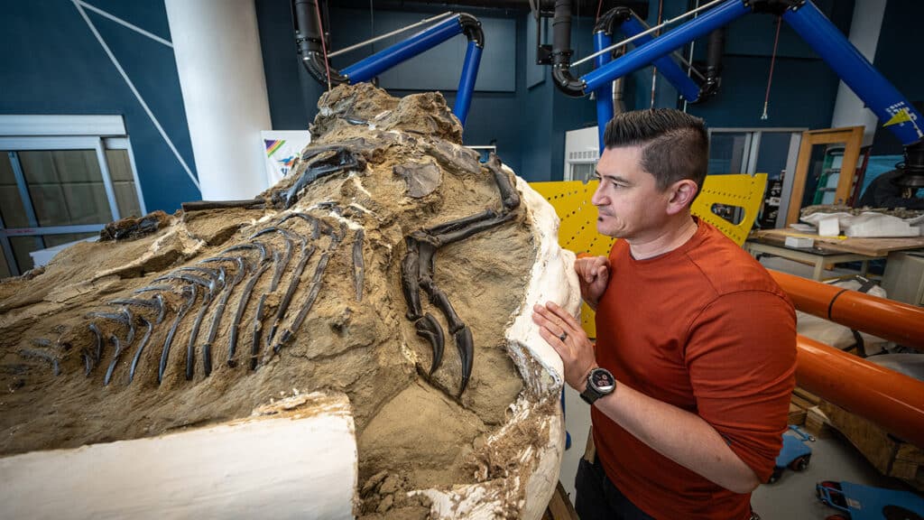 Eric Lund, the paleontology lab manager at the North Carolina Museum of Natural Sciences, looks at a piece of the Dueling Dinosaurs specimen