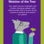 My Pack Persona: Watcher of The Tree You await nature's highlight reel of each changing season with bated breath, led in all you do by a desire to defend and sustain our planet.