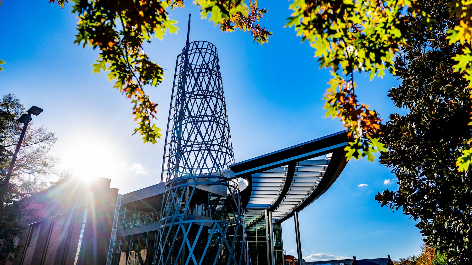 Fall leaves frame the Technology Tower at the Talley Student Union.