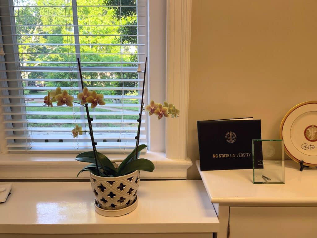 An orchid on a shelf by the window in Thompson's office, which Woodson regularly comments about. 