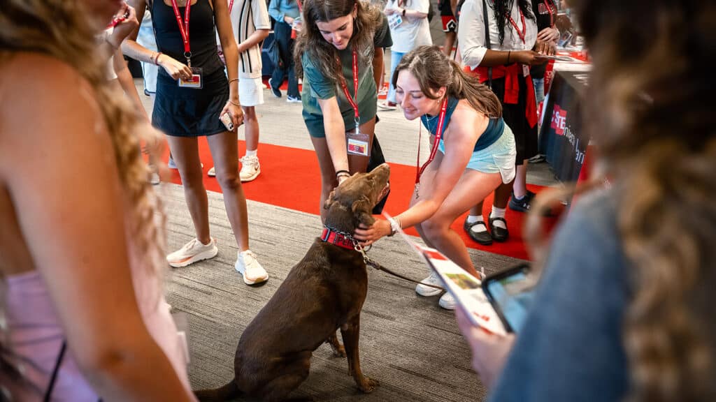 Perdy, a chocolate Labrador, sits on the floor while a few incoming students pet her during an information fair.