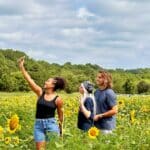 Three students take a selfie in a field of sunflowers.