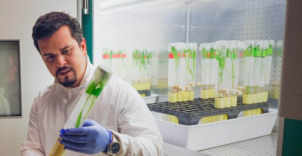 A man in a lab coat and gloves handles a plant grown in a specialized tube. 