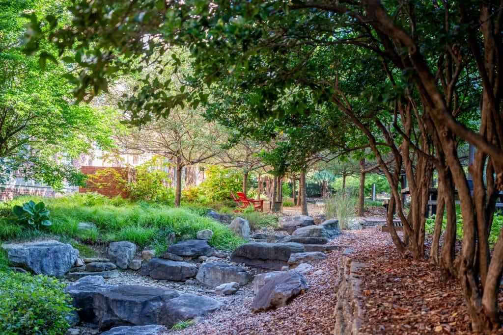 Rock formations and trees in the lush garden of the Artists' Backyard