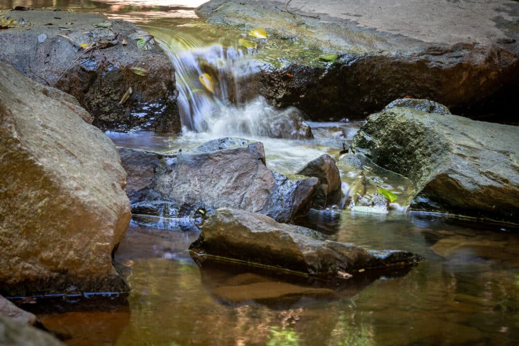 A stream runs adjacent to a portion of the greenway, with water flowing over rocks