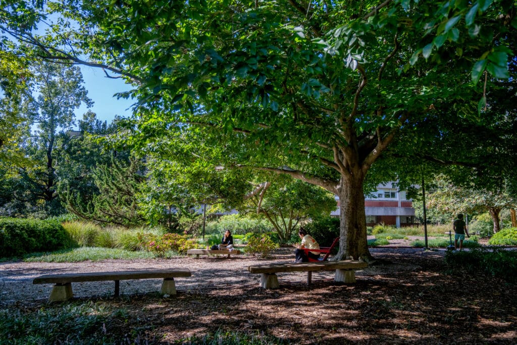 Students sit on chairs and benches surrounded by the greenery of the arboretum