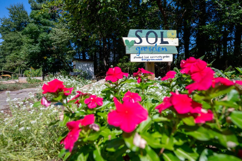 Colorful flowers in the SOL Garden at Parents Park