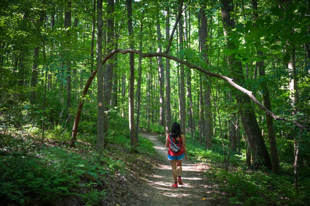 A student hikes along the path in Lake Raleigh Woods