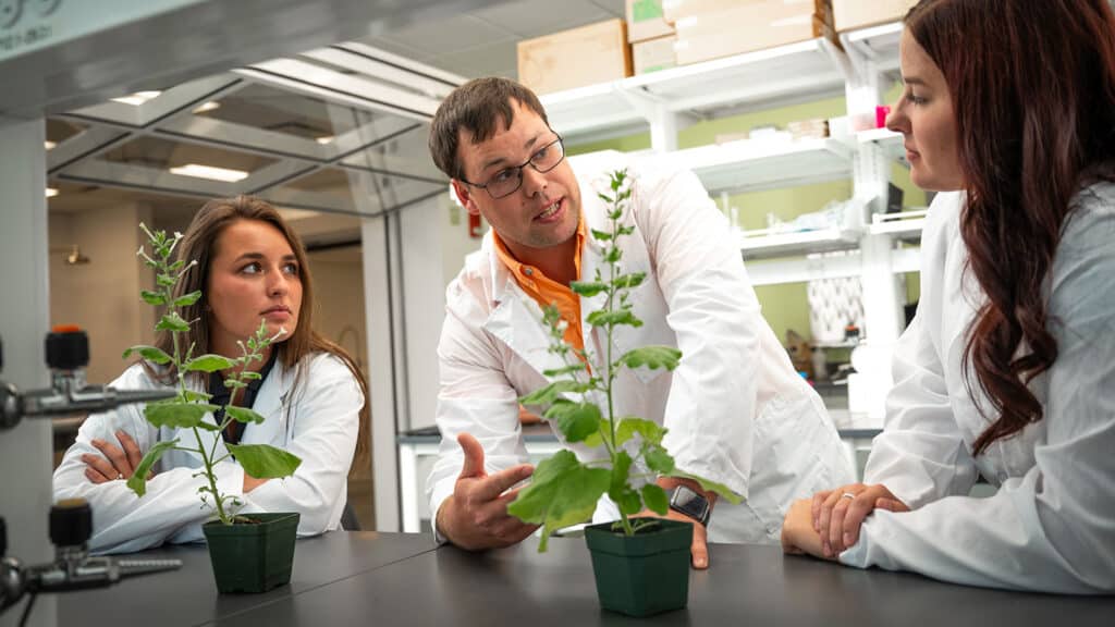 Three researchers hold a conversation while leaning over a table on which sit two green plants growing in small planters. They wear white lab coats and are standing in an indoor laboratory.