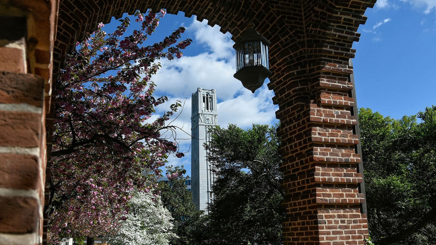 A shot of NC State's Belltower centered in front of a partly cloudy blue sky, with the Belltower partially obscured by green leafy trees and pink and white spring foliage. The shot is taken from underneath a brick awning, and one of the awning's brick columns dominates the frame to the right of the Belltower. A hanging lantern-style light can be seen near the center-top.